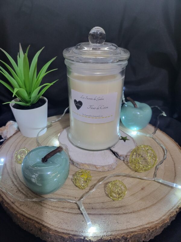 bougie bonbonniere fleur de coton