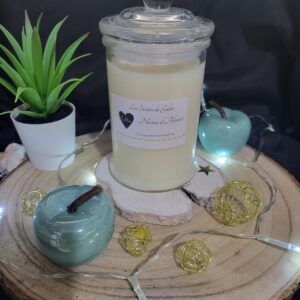 bougie bonbonniere nectar d'abricot