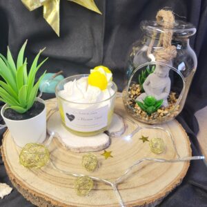 bougie petit plaisir macaron vanille