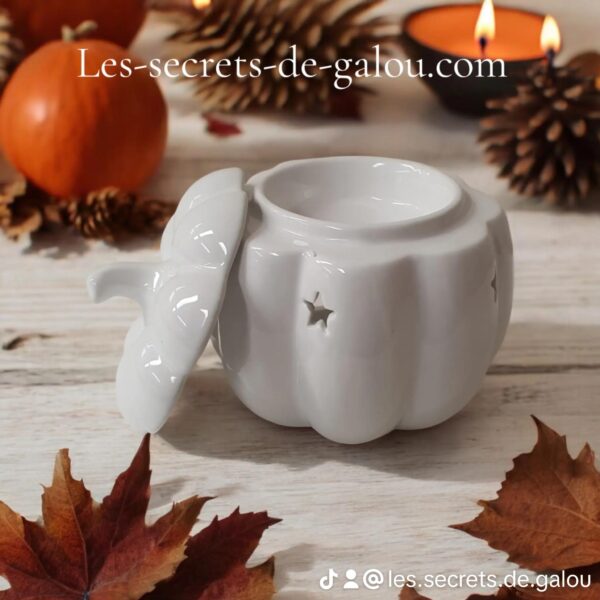 Brûle parfum citrouille blanche