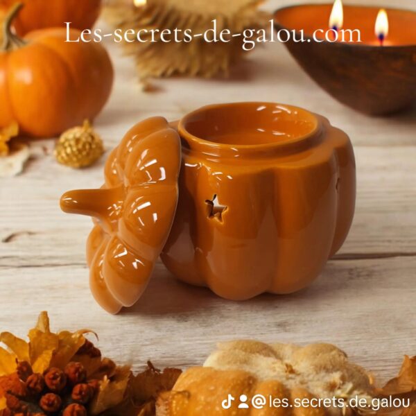 Brûle parfum citrouille orange