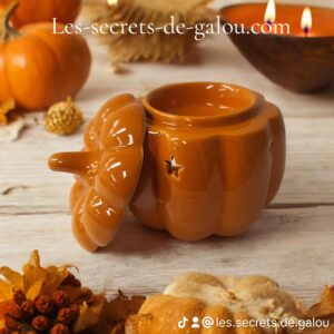 Brûle parfum citrouille orange